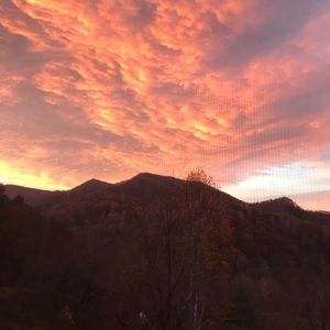 Meet your Posher, Sue ellen